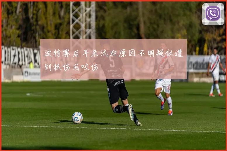 波特赛后耳朵流血原因不明疑似遭到抓伤或咬伤
