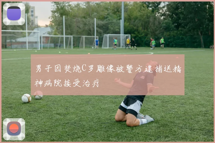 男子因焚烧C罗雕像被警方逮捕送精神病院接受治疗